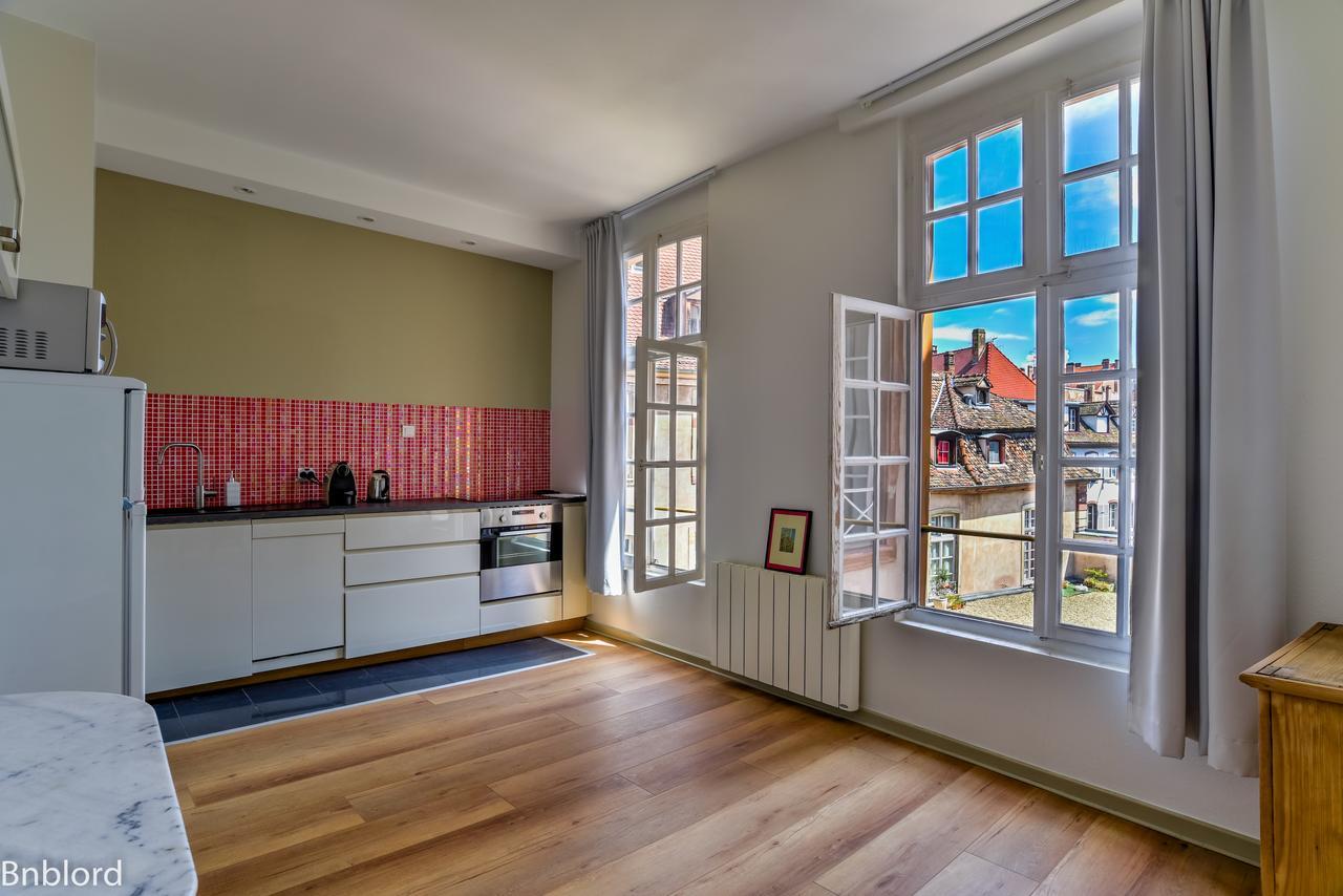 Bel Appartement Hypercentre De Strasbourg Estrasburgo Exterior foto